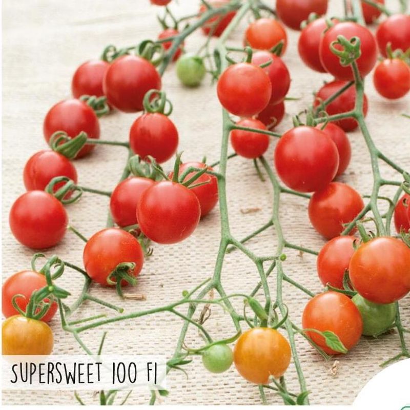 Tomat Cherry Supersweet 100 F1 -Frø-