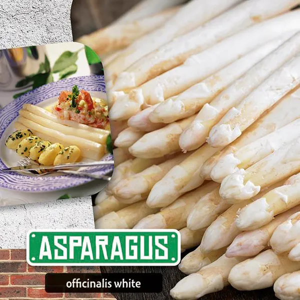 Hovedbilde Asparges Hvit