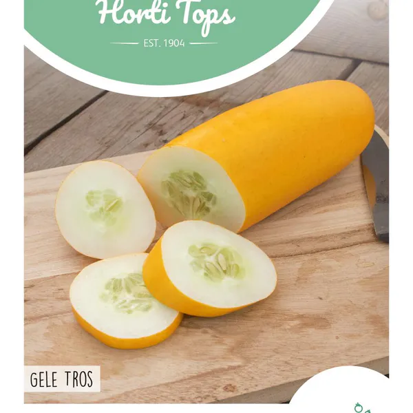 Hovedbilde Agurk Dutch Yellow -Frø-