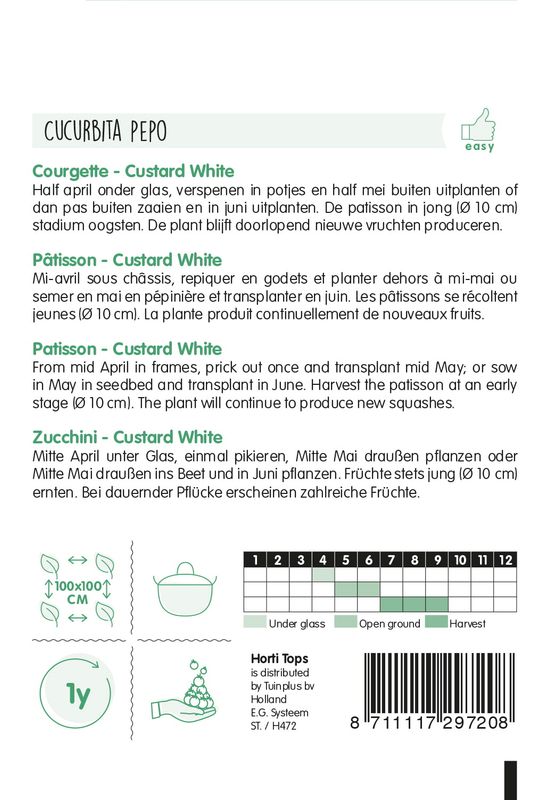 Squash Patisson Custard White -Frø-