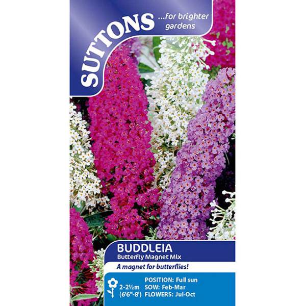 Bilde av BUDDLEJA Butterfly Magnet Mix. SOMMERFUGLBUSK