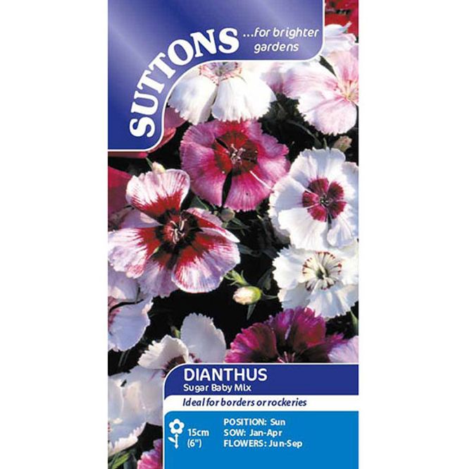 Hovedbilde Dianthus Sugar Baby Mix -Frø- Kinanellik