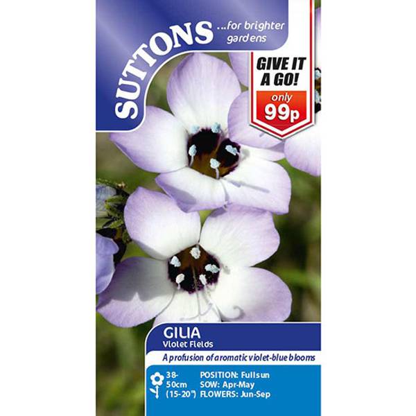 Bilde av GILIA ‘Violet Fields’