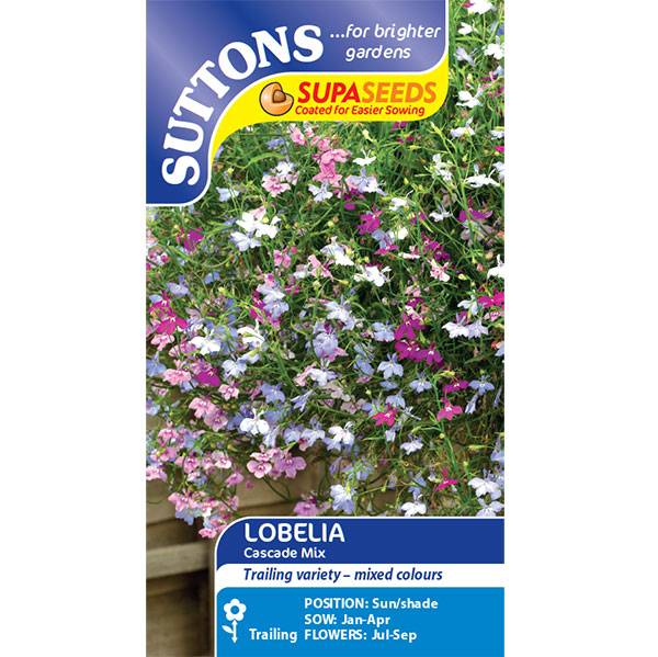 Bilde av LOBELIA Rainbow Cascade Mix.