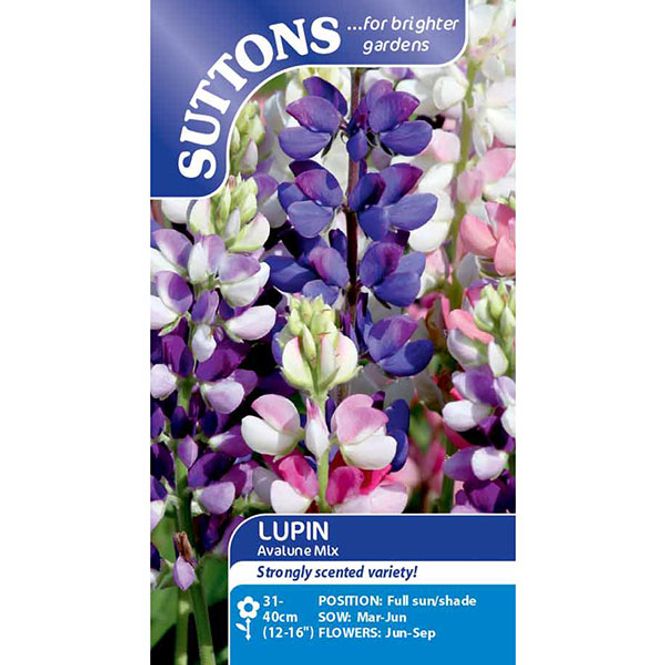 Hovedbilde Lupin Avaluna Mix -Frø-