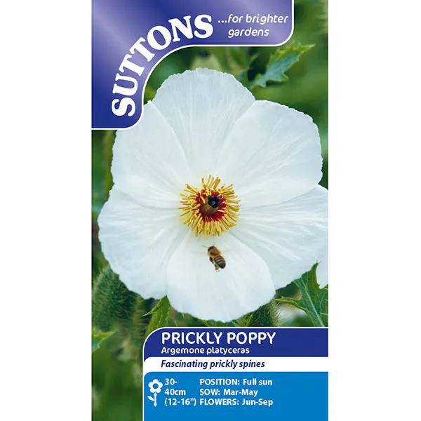 Hovedbilde Argemone -Frø- Piggvalmue