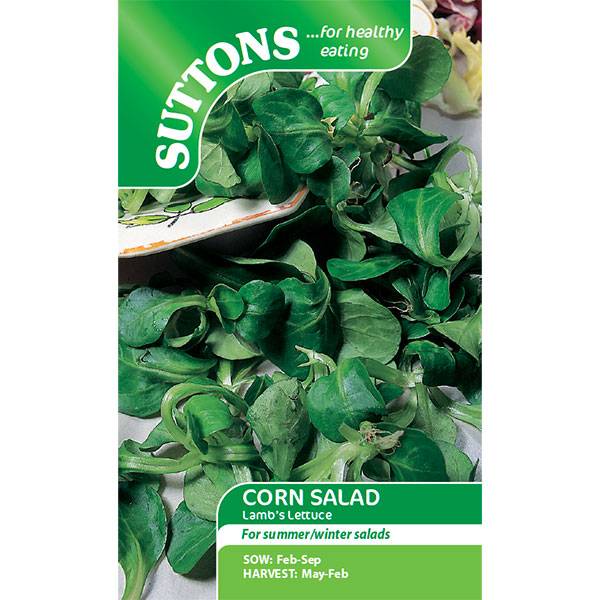 Bilde av Bladsalat Lambs Lettuce