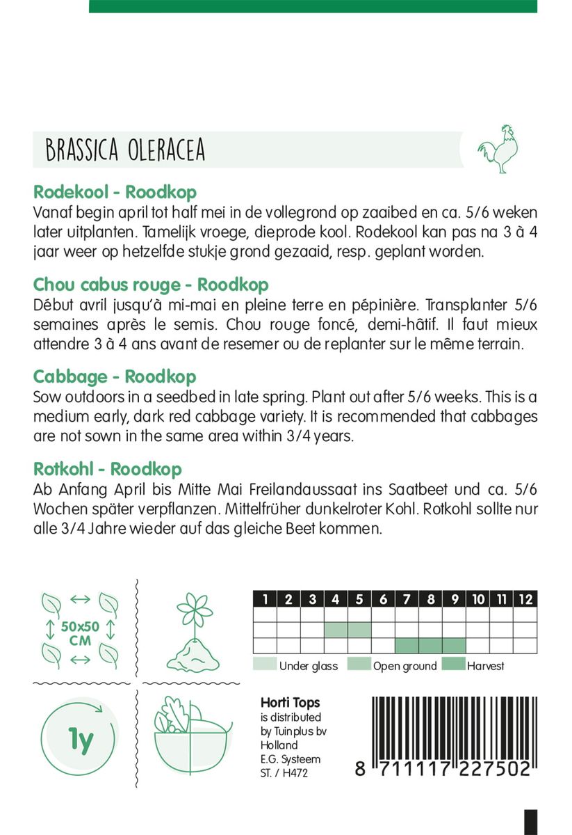 Kål, rødkål -Frø-