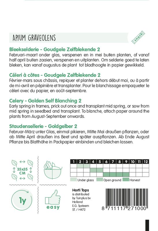Stangselleri Golden Selfblanching 2 -Frø-