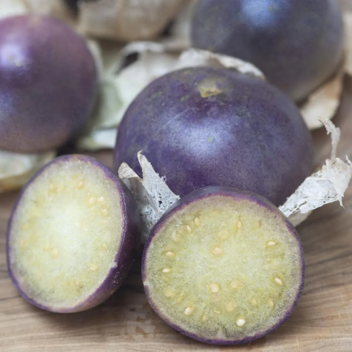 Physalis ixocarpa Purple de Milpa -Frø-