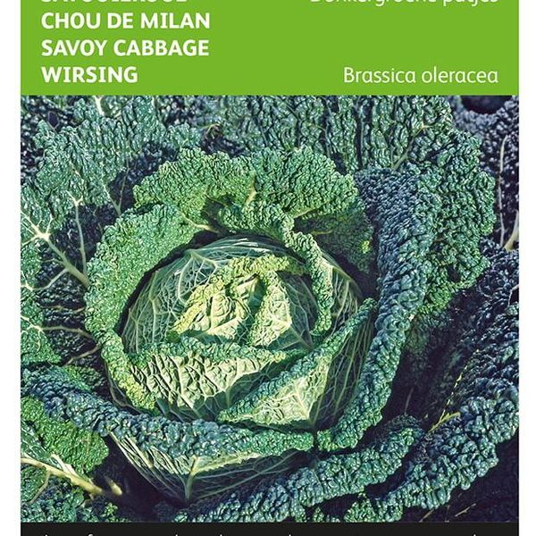 Hovedbilde Kål, Savoykål -Frø-