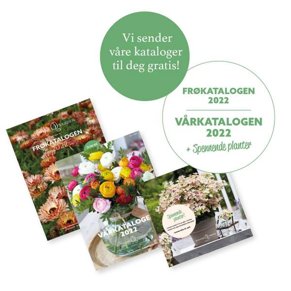 Bilde av Bestill kataloger