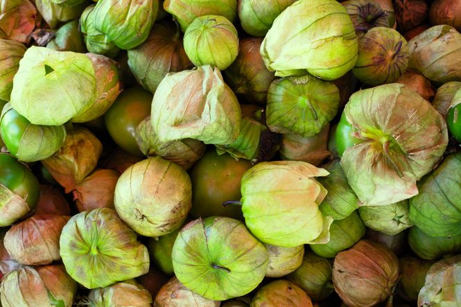 Hovedbilde Tomatillo -Frø-