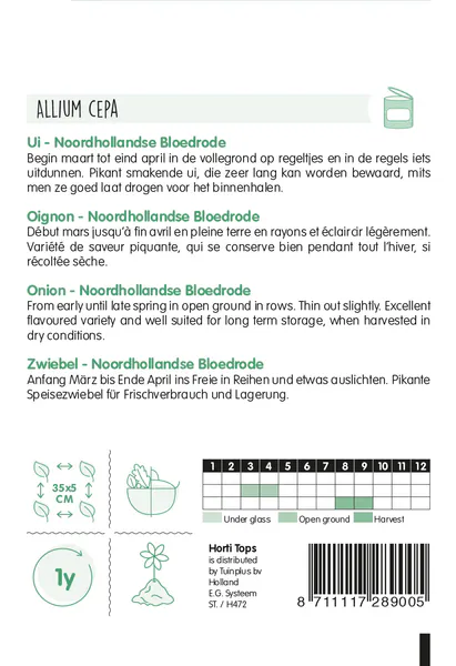 Hovedbilde Rødløk -Frø-