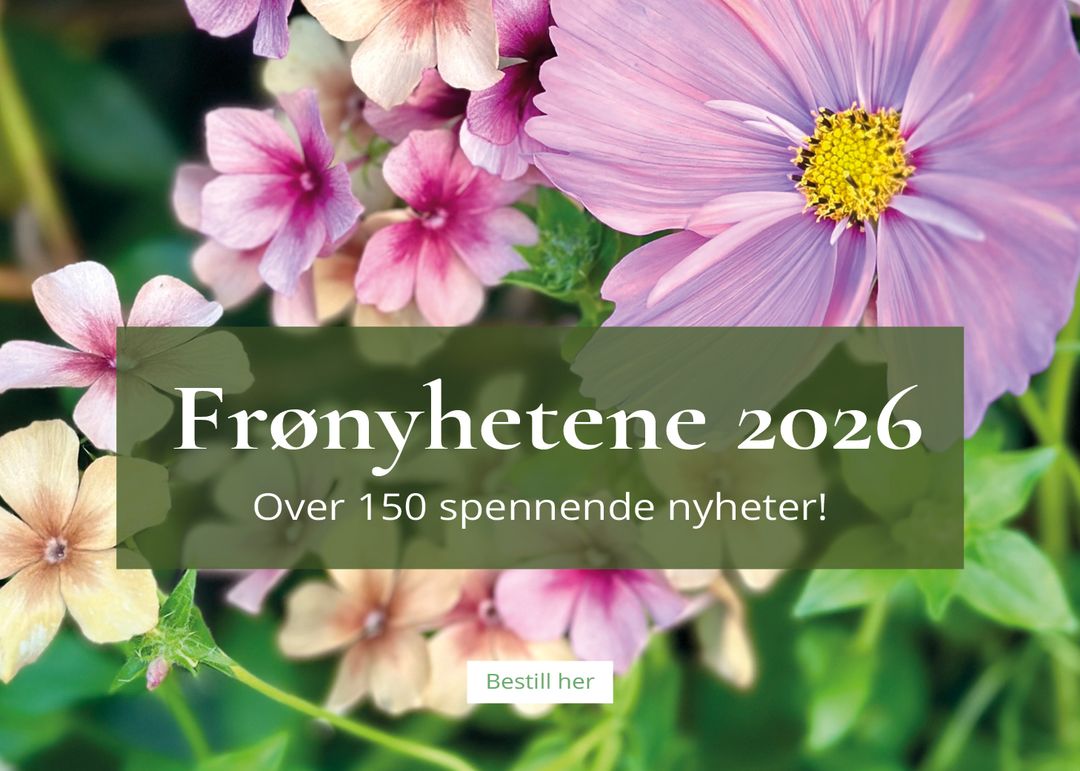 Frønyhetene 2026: Over 150 spennende nyheter!