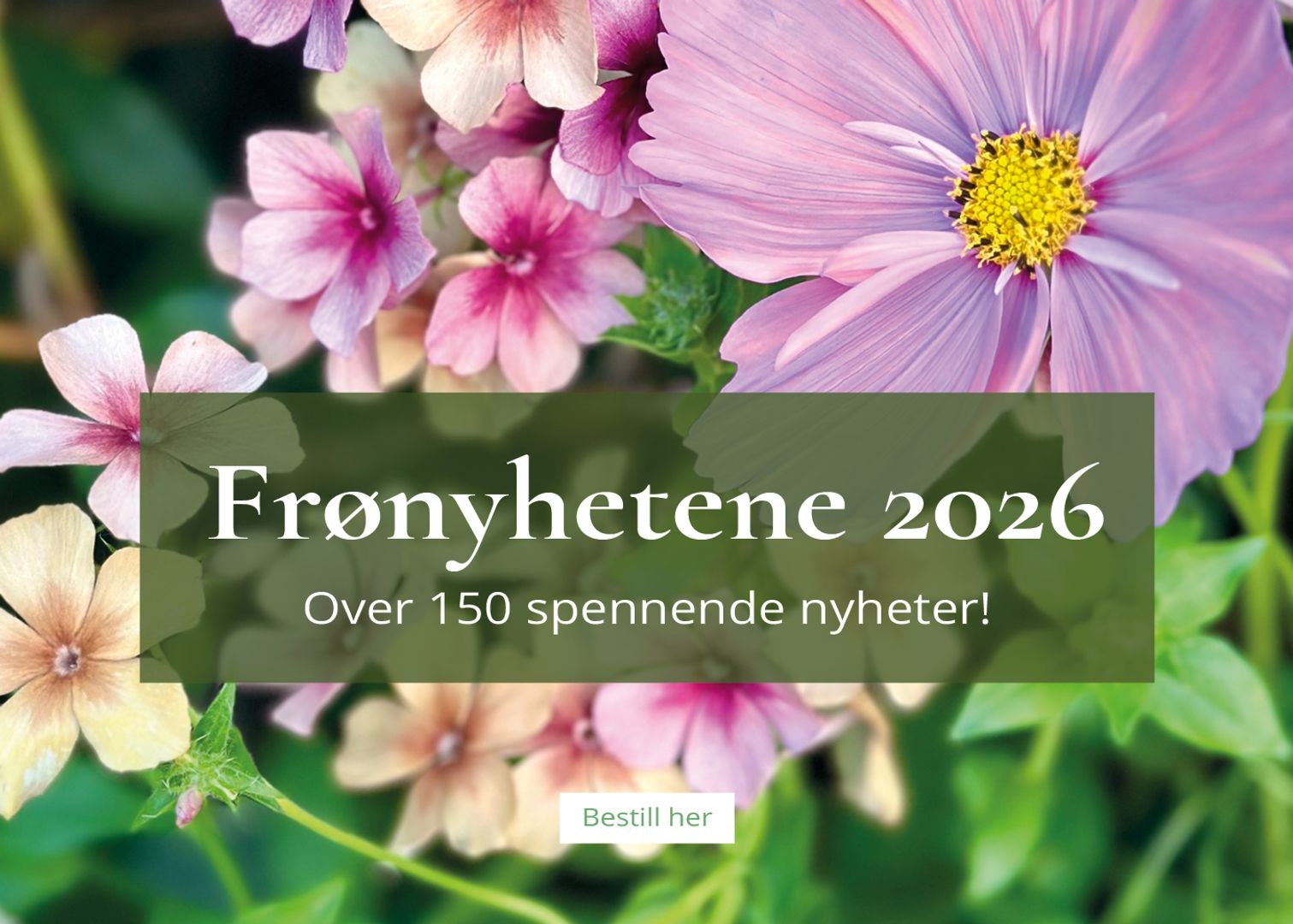Frønyhetene 2026: Over 150 spennende nyheter!
