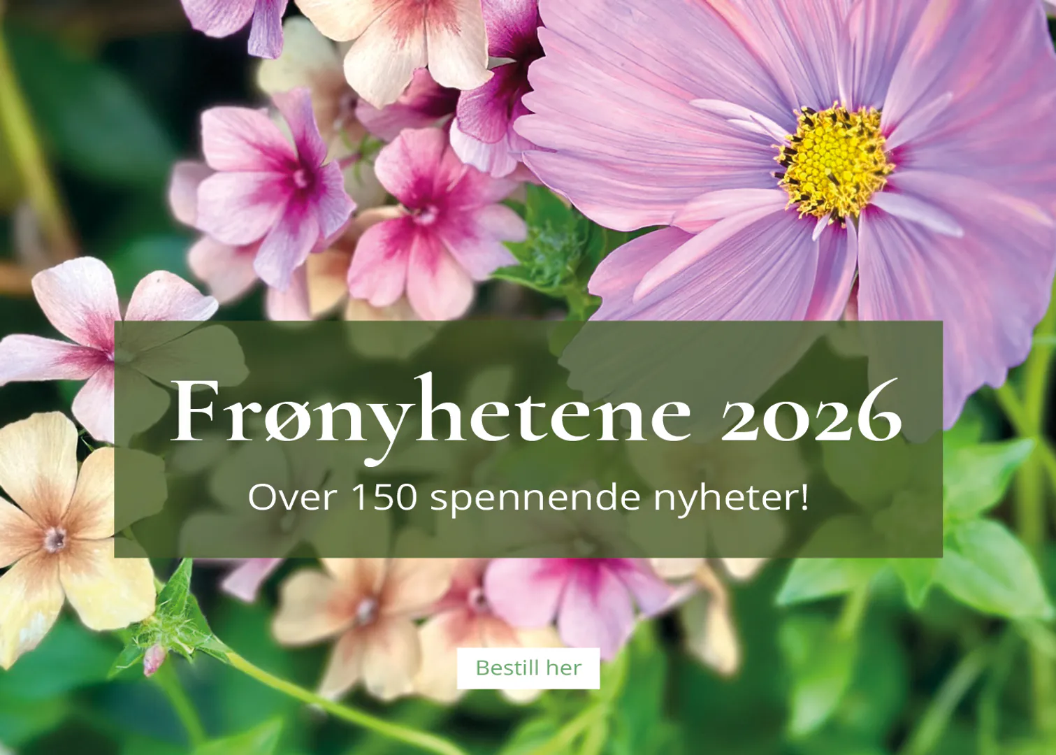 Frønyhetene 2026: Over 150 spennende nyheter!