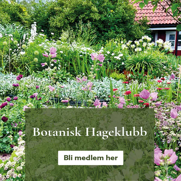 Bli medlem i Botanisk Hageklubb - få 15% rabatt på første ordre