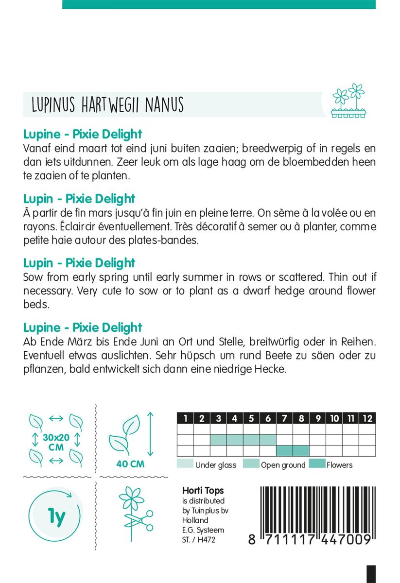 Lupinus Hartwegii nanus Pixie Delight. Sommerlupin -Frø-